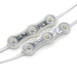 Tira de 25 Módulos Mini Led Tiny Súper Brillantes / Anuncios Luminosos