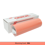 Vinil de Corte Glitter Oracal® 851