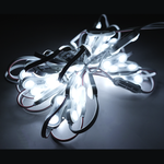 25 Módulos Led V5 Duo Súper Brillante Anuncios Luminosos