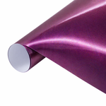 Vinyl DIY Glossy Chameleon 30.50cm